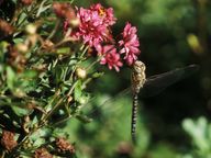 [2004-05-33-11-crop]