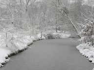 [2004-12-101-0184]