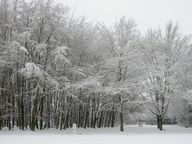 [2004-12-102-0222-pc]
