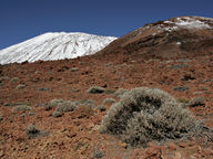 [2005-02-115-1545-i]