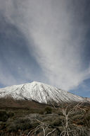 [2005-02-116-1612-i]