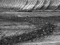 [2005-05-154-5447-bw]