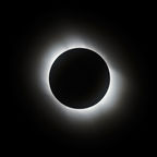 [2006-04-110-0342]