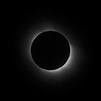 [2006-04-110-0353]