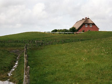 [2003-05-09-25]