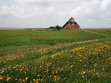 [2003-05-09-26]