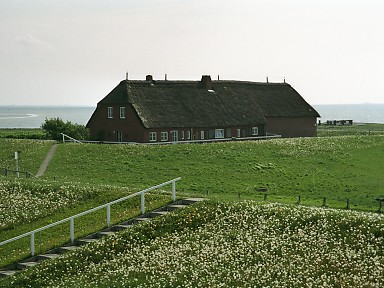 [2003-05-16-28]