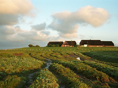 [2003-05-17-32]