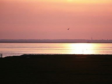 [2003-05-20-34]