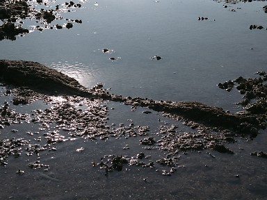 [2003-05-22-32]