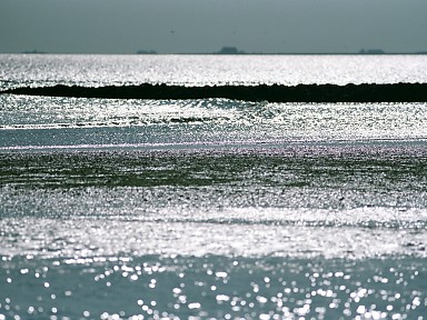 [2003-05-26-33]