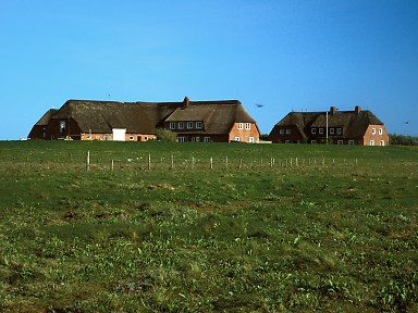 [2003-05-51-10]