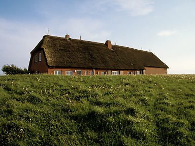 [2003-05-55-03]