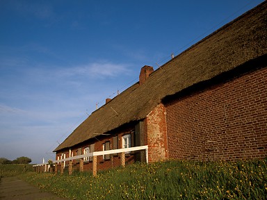 [2003-05-55-09]