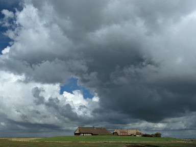 [2004-05-06-25-crop169]