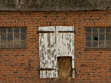 [2004-05-11-34-crop]