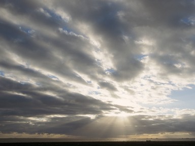 [2004-05-14-11-crop]