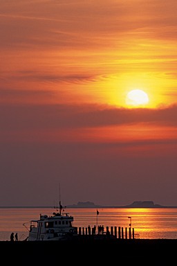 [2004-05-19-02-crop]