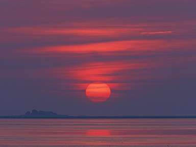 [2004-05-19-09-crop]