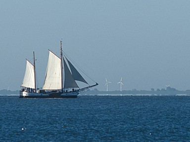 [2004-05-30-28-crop]
