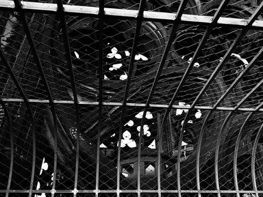[2005-01-102-0294-bw]