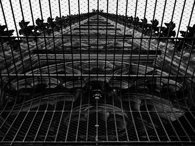 [2005-01-102-0296-bw]