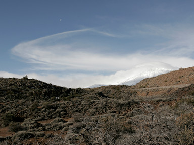 [2005-02-111-1130-i]