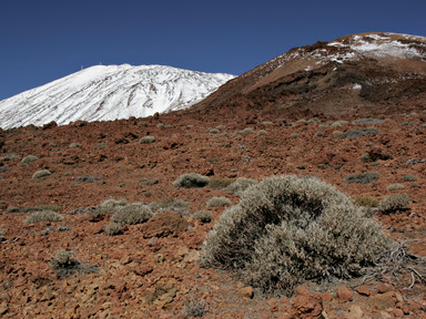 [2005-02-115-1545-i]