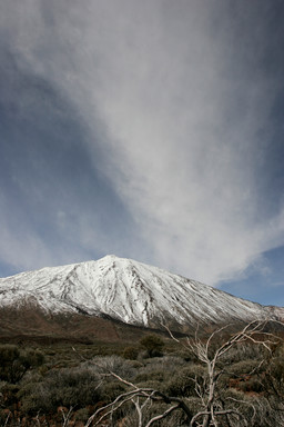 [2005-02-116-1612-i]