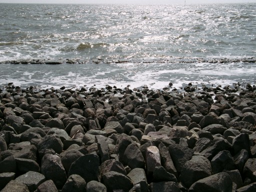 [2003-05-06-14]
