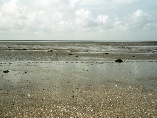 [2003-05-09-01]