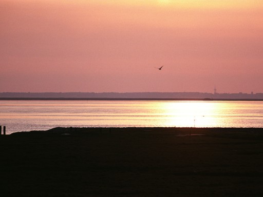 [2003-05-20-34]