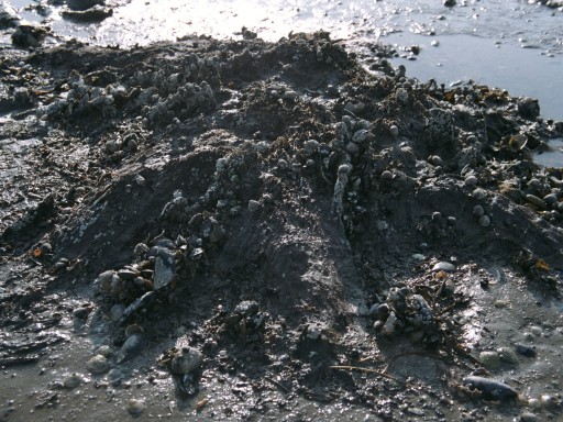 [2003-05-22-21]
