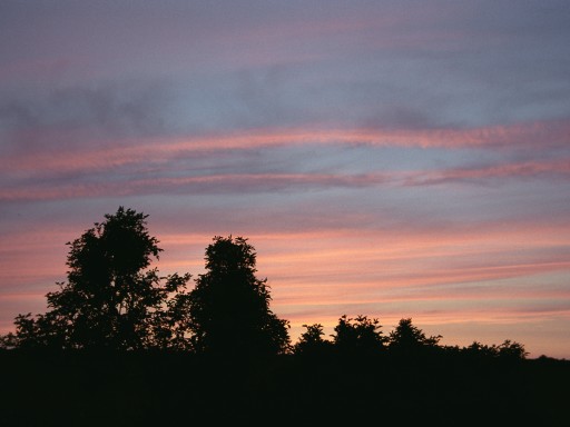 [2003-05-23-26]