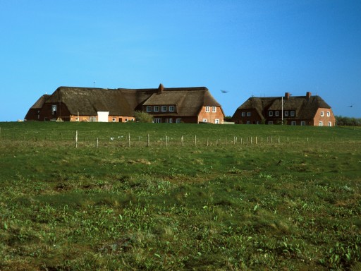 [2003-05-51-10]