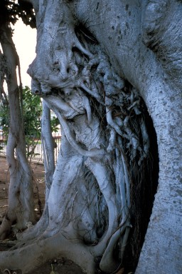 [2004-03-10-02]