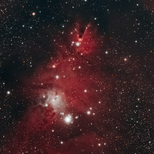 NGC 2264 - Christmas Tree Cluster and Cone Nebula