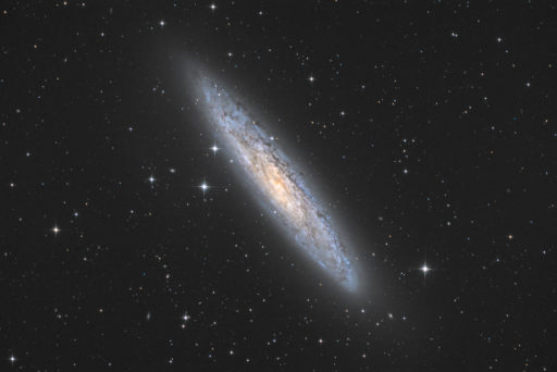 NGC 253 - Sculptor Galaxy (DSS v1)
