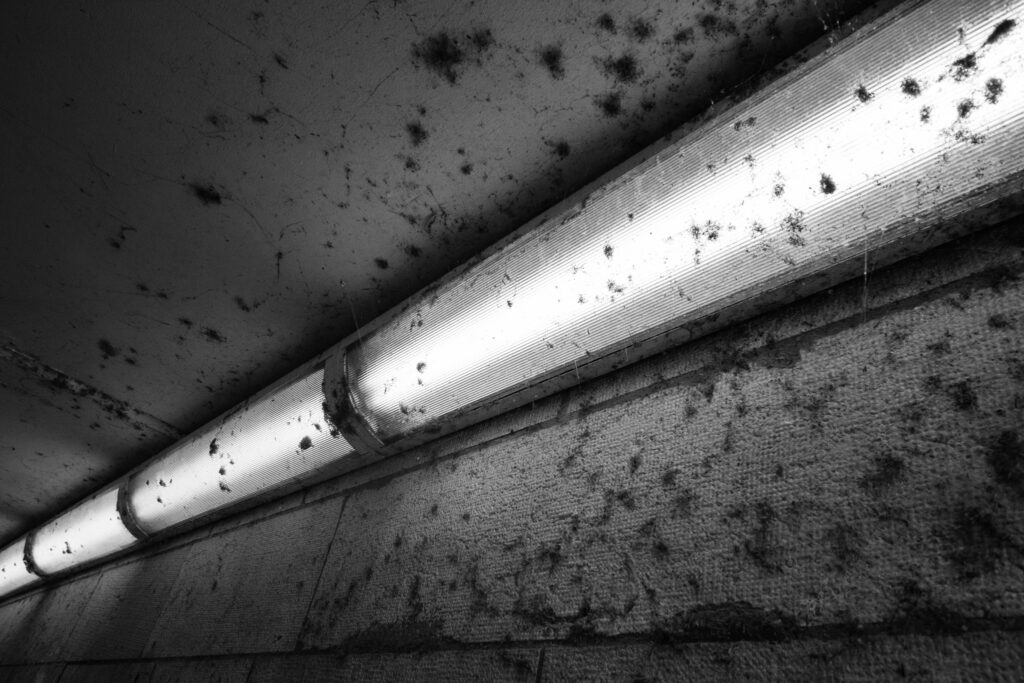 CH, b&w, black and white, bw, fotografie, geneva, geneve, genf, photography, romandie, romandy, schwarzweiß, schweiz, sw, switzerland, world