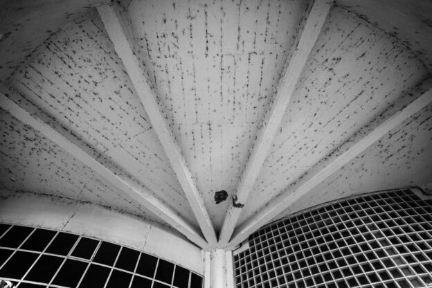 CH, b&w, black and white, bw, fotografie, geneva, geneve, genf, photography, romandie, romandy, schwarzweiß, schweiz, sw, switzerland, world