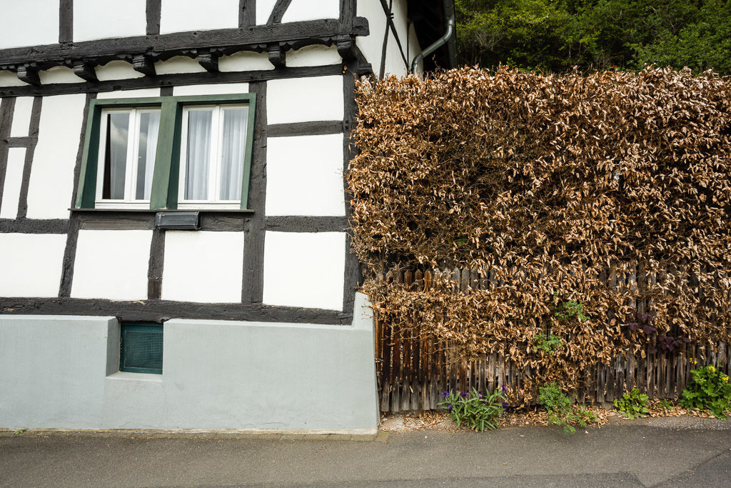 DE, DE-NW, NRW, buildings, deutschland, eifel, gebäude, gemünd, germany, haus, house, houses, häuser, kreis euskirchen, nordrhein-westfalen, northrhine-westfalia, regierungsbezirk köln, schleiden, world