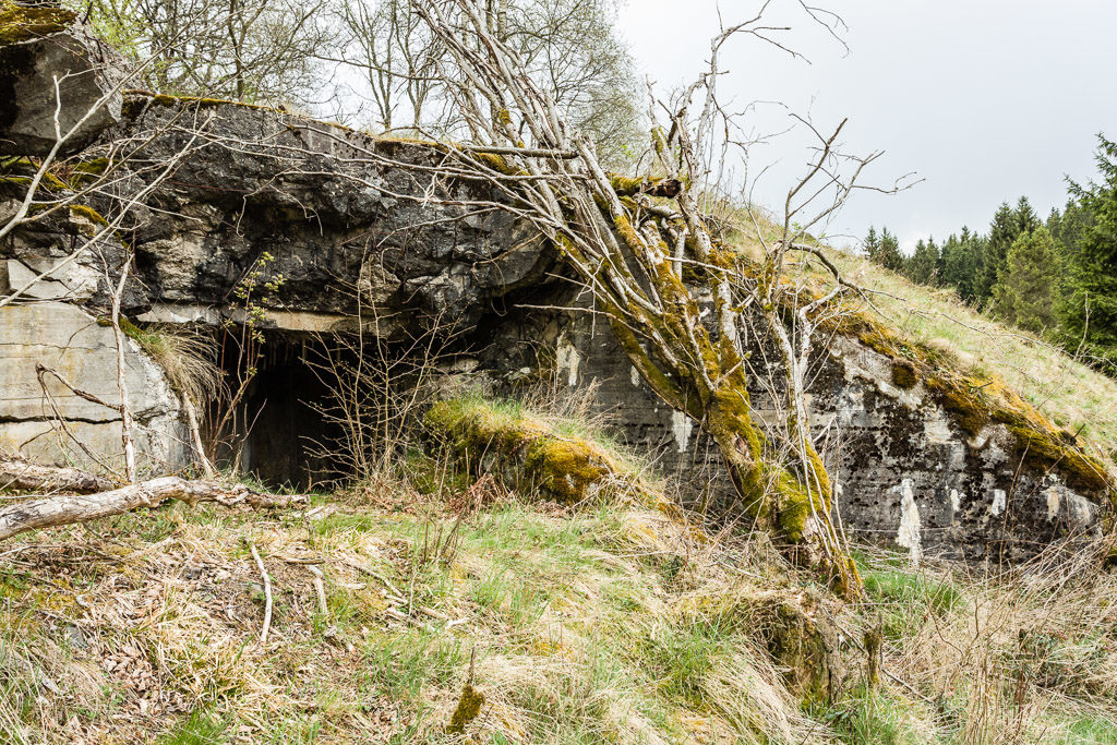 DE, buildings, bunker, deutschland, eifel, gebäude, germany, monschauer heckenland, naturschutzgebiet Perlenbach-Fuhrtsbachtal, nordeifel, perlenbach-fuhrtsbachtal, world
