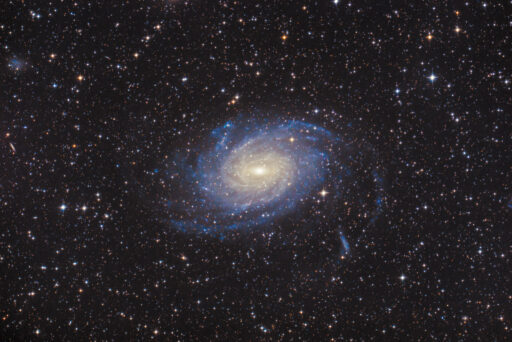 astrofotografie, astronomie, astronomy, astrophotography, galaxy, ngc, ngc6744, pavo, spiral galaxy, star, stars, stern, sterne