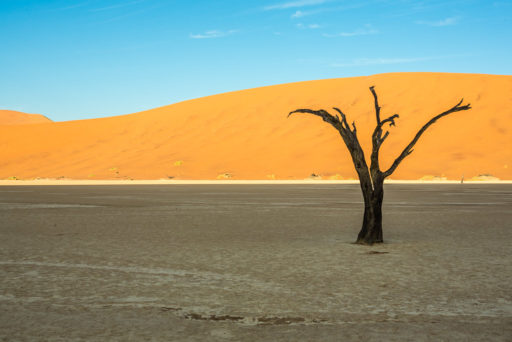 NA, deadvlei, dune, dunes, düne, dünen, hardap, landscape, landschaft, namibia, sonne, sonnenaufgang, sossusvlei, sun, sunrise, world