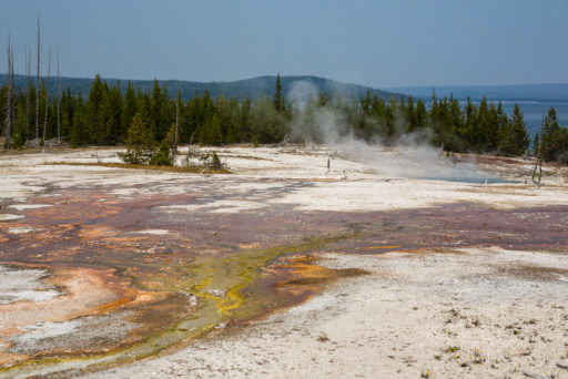 US, US-WY, USA, WY, united states, united states of america, vereinigte staaten, west thumb, world, wyoming, yellowstone, yellowstone national park