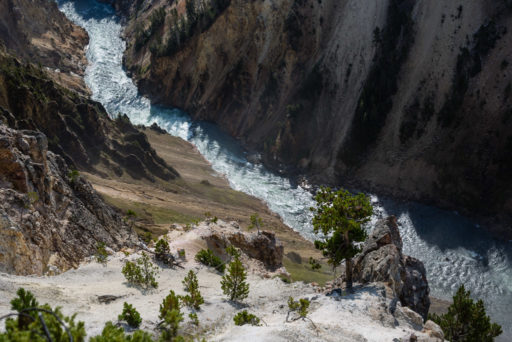 US, US-WY, USA, WY, color, colors, farbe, farben, gelb, grand canyon of the yellowstone, united states, united states of america, vereinigte staaten, world, wyoming, yellow, yellowstone, yellowstone national park, yellowstone river