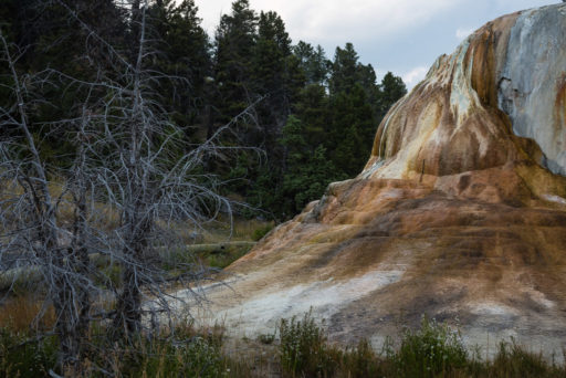 US, US-WY, USA, WY, mammoth hot springs, tangerine spring, united states, united states of america, vereinigte staaten, world, wyoming, yellowstone, yellowstone national park