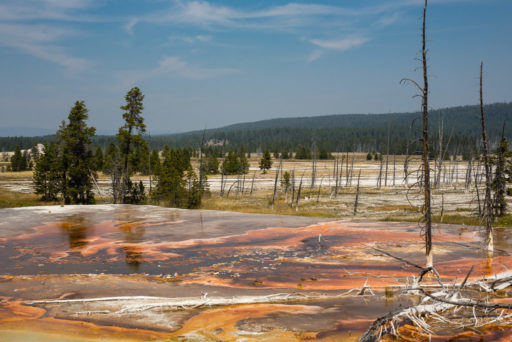 US, US-WY, USA, WY, firehole lake drive, firehole spring, united states, united states of america, vereinigte staaten, world, wyoming, yellowstone, yellowstone national park