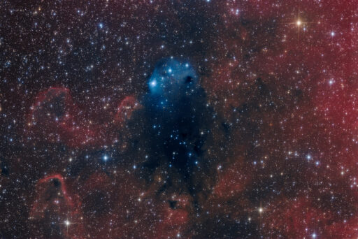 astrofotografie, astronomie, astronomy, astrophotography, canis major, emission nebula, emissionsnebel, großer hund, reflection nebula, star, stars, stern, sterne, vdb, vdb96