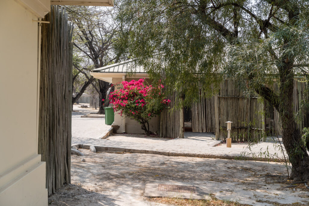 NA, etosha, etosha national park, namibia, world